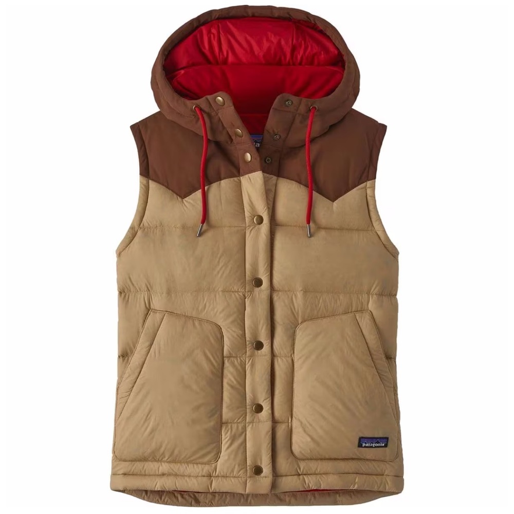Patagonia Bivy Hooded Vest -womens